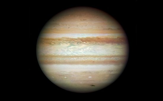 49ͼذװ-49ͼappv1.4 °-ֻţ